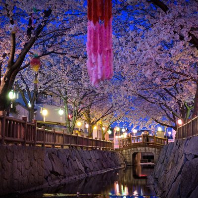 🌸 사슴 우물 샘(시카노이데스이)